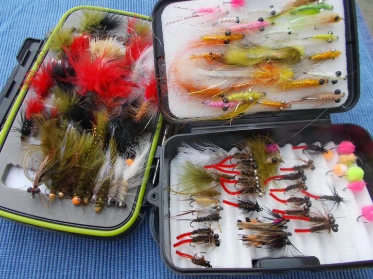 carpflies-768x576.webp