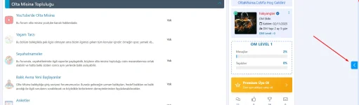 açılır kapanır kenar çubuğu.webp